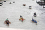 Thumbnail_2013-05-25-festivalumni-172