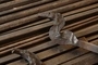 Thumbnail_copia%20di%20img_0040