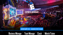 Small_esports