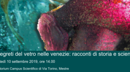 Small_i_segreti_del_vetro_nelle_venezie__racconti_di_storia_e_scienza
