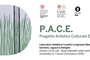 Thumbnail_940x470_p.a.c.e_%281%29