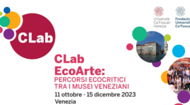 Small_clab_ecoarte