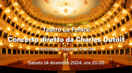 Small_fenice_settembre_2024