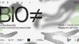 Small_biodiversit%c3%a0_dvri